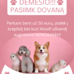 DĖMESIO (1)