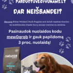 PARDUOTUVEGYVUNAMS.LT (2) (1)